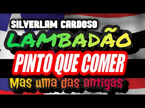 🇱🇷 LAMBADA DO PINTO - SILVERLAM CARDOSO - CANAL LAMBADÃO MARANHENSE OFICIAL