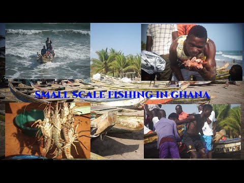 Small-Scale Fishing in Ghana "Kusum Sea Shore"