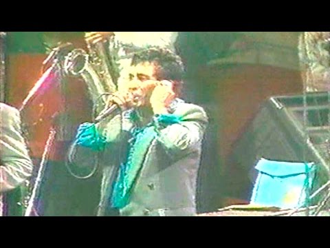 Tan Bella Y Tan Presumida - Gustavo "El Loko" Quintero (Original)