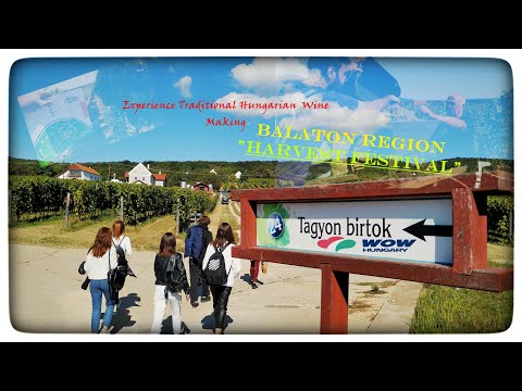 || Harvest Festival -Balaton Region|| WOW Hungary Travel Series  || HÖOK Stipendium Hungaricum ||
