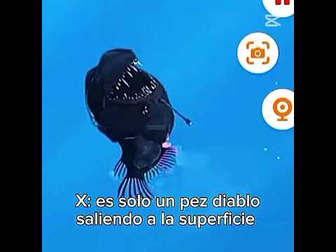 El fin del mundo está cerca💀 #dúo #phonk #humor #phonky #edit