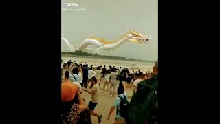 Download lagu Tik Tok Chinese Dragon 😱 mp3