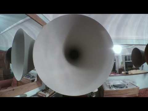 Fess Williams & his Royal Flush Orchestra: Do Shuffle