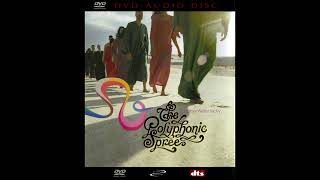 The Polyphonic Spree - Section 16 (One Man Show) [5.1 Surround Sound]
