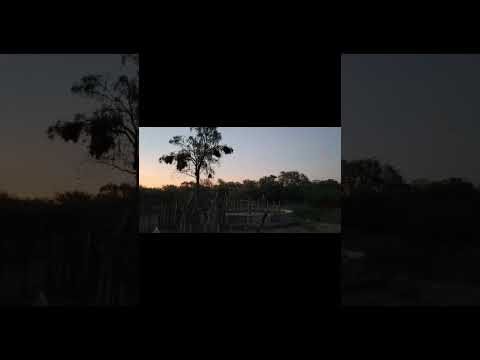 VENDO 760 has Ganadería y Carbón, sobre Ruta 6 e/Loreto y Laprida Santiago del Estero +5491163007000