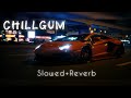 CHILLGUM Slowed Reverb YO YO HONEY SINGH Ragini LO FI Tapes