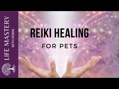 Reiki Healing   Healing Dogs and Cats with Sound Music