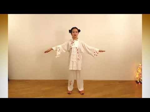 健身气功八段锦  - Ba Duan Jin (8 Brokate Qi Gong)