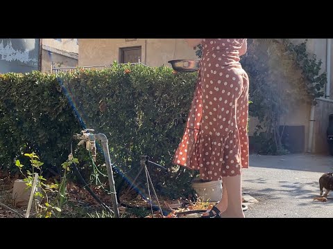 Simple Village Day: Cooking Pinto Beans and Gardening in Nature