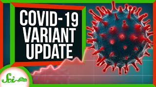 We Know More About Those COVID-19 Variants. It's Not Great | SciShow News
