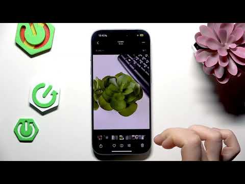 iOS 15: Cómo utilizar Visual Lookup en Fotos para identificar monumentos, plantas y mascotas