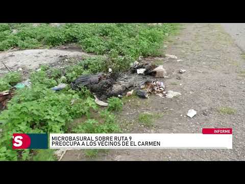 El Carmen: preocupación por un basural que crece a la vera de la Ruta 9
