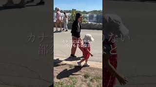 日本の教育は悪？カナダ🇨🇦で気づいた本当の価値  #カナダ留学 #教育移住