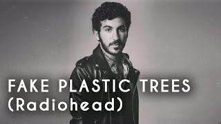 Théo Maxyme - Fake Plastic Trees (Radiohead)