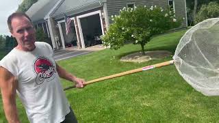 Chance For New England Tornado Along With This Flooding & Save A Squirrel Kill A Cape Cod Blue Crab