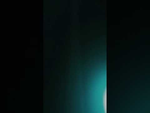 Mayapur - Pokojíček Closing Rave party - 03.01.2020 HQ