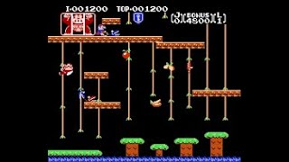 DONKEY KONG JUNIOR GAME VERSIONS.