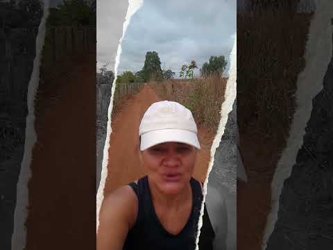 Caminhada sertaneja Comunidade Santa Rita município Vianópolis Goiás Brasil