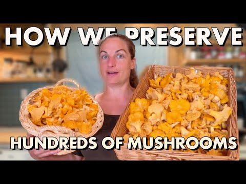 This Is How We Preserve Our Wild Mushroom Harvest