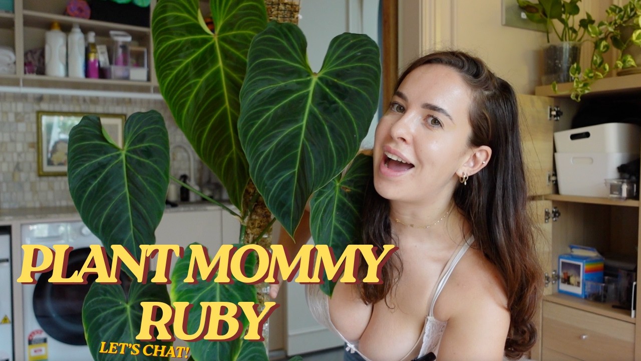 Let's chat!!!!!! - Plant Mommy Ruby edition