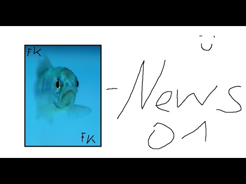 Die Butterbande-News Folge 1 | Discord Beef?