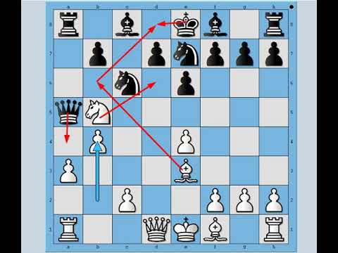 Neverovatno , prosto je forsirao svog protivnika do pobede !! FOREEST vs NN # 2045