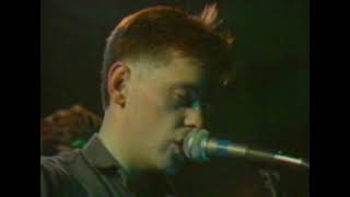 New Order - Denial (Live in New York City 1981)