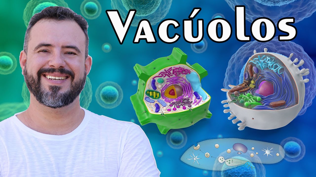 VACÚOLOS - CITOLOGIA - Prof. Daniel Fernandes #citologia #enem #vacúolos #EduCOS
