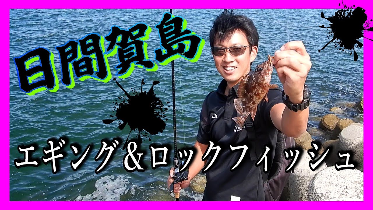 日間賀島【エギング＆ロックフィッシュ釣行】記録