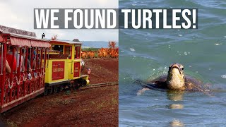 Dole Plantation, Turtle Beach, and Shrimp Trucks - North Shore - Oahu, Hawaii