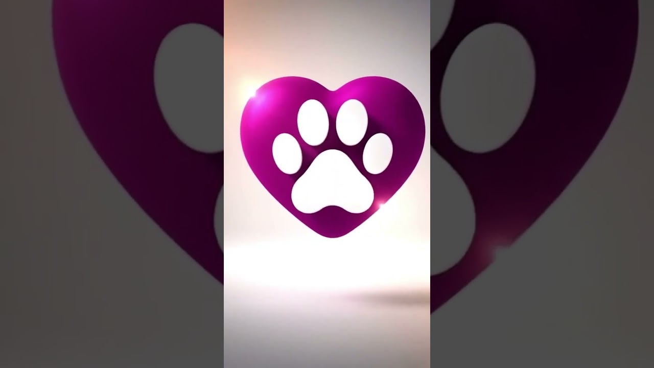 Cachorro raça Pit-Bull idade 2 a 6 meses nome Ice