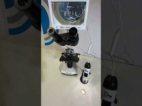 V&iacute;deo 8