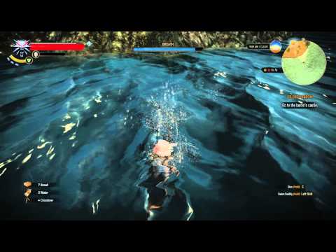 Witcher 3, enchanted cavalry saddle.