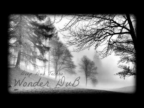 Liquid Fraction - Wonder DuB - Deep Dub Techno Mix - 27th Oct 2023