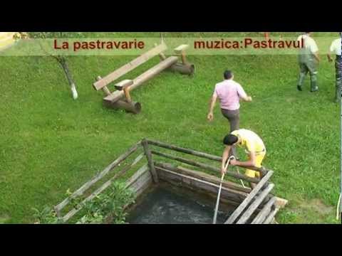 Pensiunea POIANA Negri - iunie 2012 3/4