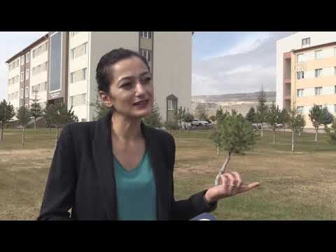 Üniversiteliler kampüste patili dostlarıyla iç içe yaşıyor