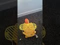 Hippo Dance