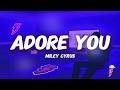 Miley Cyrus Adore You Lyrics