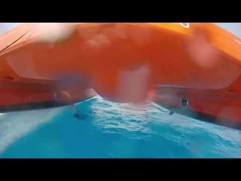 DNA Performance Sailing Foiling G4 catamaran the sound of speed by Bill Springer Swizzle Media compo