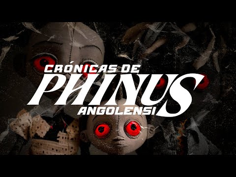 CHRONICLES OF A PHINUS ANGOLENSIS