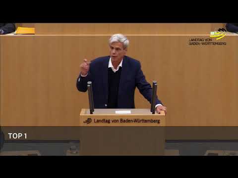 Islamisierung und Paralleljustiz (8.11.17, Landtag BW)