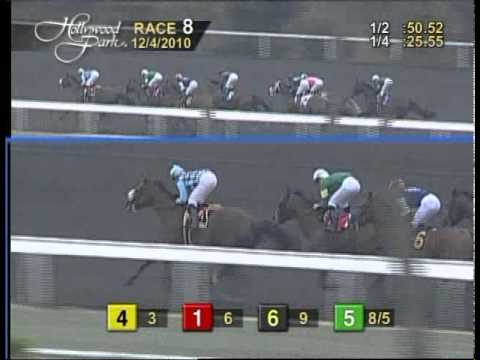 The 32nd Running of Native Diver Handicap (GIII)