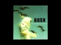 Bush - 40 Miles From The Sun 