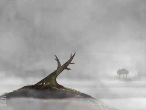 IQ Mac Prayna - Kelebek