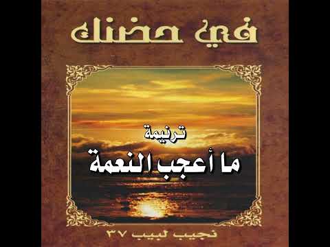 ترنيمة "ما أعجب النعمة" - المرنم نجيب لبيب