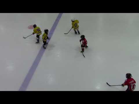 HC Vipers G RED – HK Tornaado G1  0:10 (0:3 ; 0:7)  25.02.2018