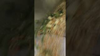 Seasoning on to Veggies