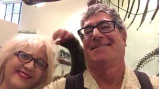 Natural History Museum, NYC