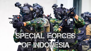 Download lagu Pasukan Khusus Indonesia - 2025 - Special Forces of Indonesia mp3 Download lagu Pasukan Khusus Indonesia - 2025 - Special Forces of Indonesia mp3