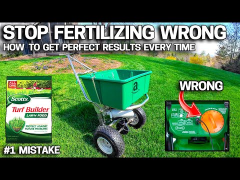 From Patchy to Perfect - How to Fertilize a Lawn CORRECTLY